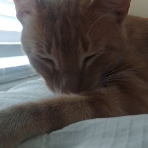 Meet your Posher, Jacquelyn